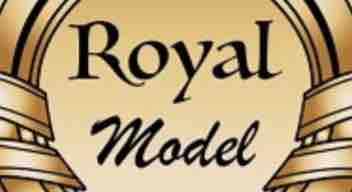 Logo of Royal Model Medical Center